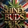 ShineyBuds - Tesseract bot official